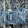 seeing-red
