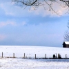 snow-barn